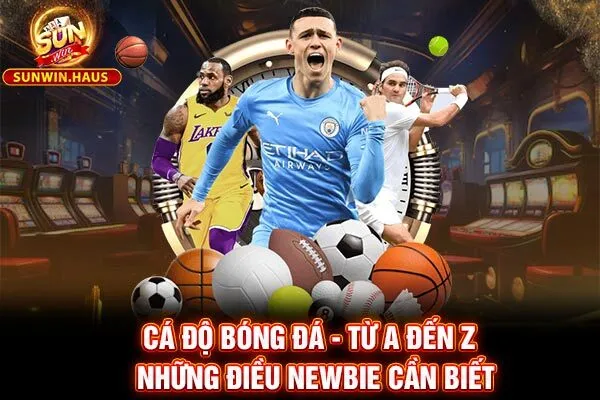 Cá Độ Bóng Đá - Từ A đến Z Những Điều Newbie Cần Biết