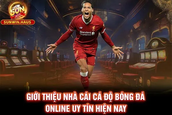 Giới Thiệu Nhà Cái Cá Độ Bóng Đá Online Uy Tín Hiện Nay