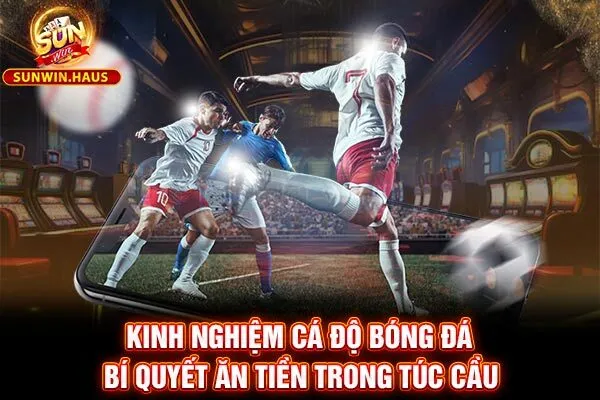 Kinh Nghiệm Cá Độ Bóng Đá - Bí Quyết Ăn Tiền Trong Túc Cầu 1 Kinh Nghiệm Cá Độ Bóng Đá - Bí Quyết Ăn Tiền Trong Túc Cầu