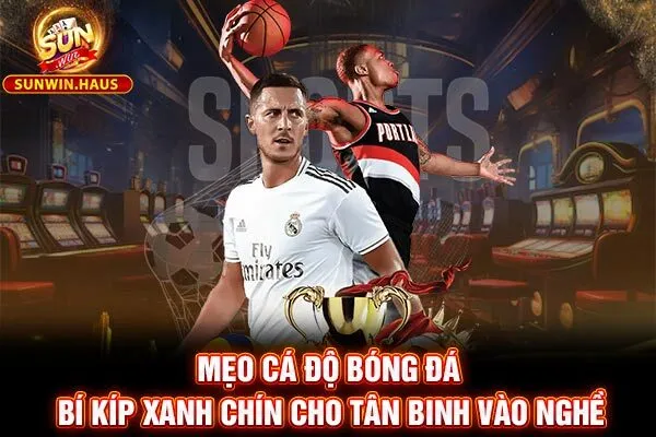 Mẹo Cá Độ Bóng Đá - Bí Kíp Xanh Chín Cho Tân Binh Vào Nghề