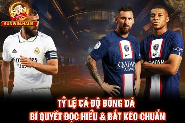 Tỷ Lệ Cá Độ Bóng Đá – Bí Quyết Đọc Hiểu & Bắt Kèo Chuẩn